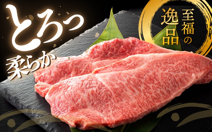 長崎和牛 サーロイン ステーキ 400g