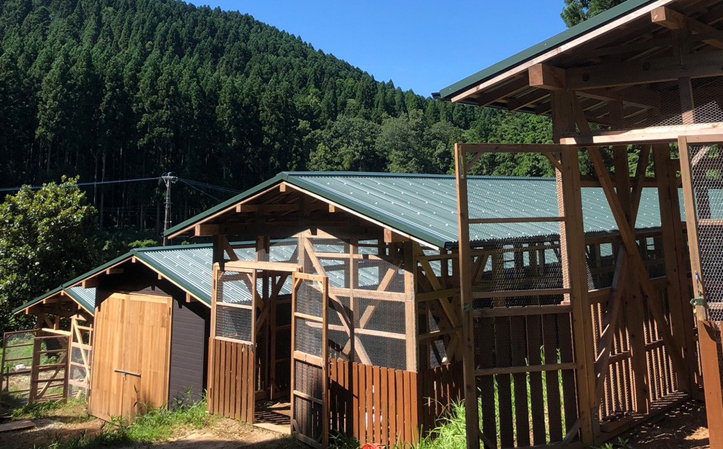 【3ヶ月定期便】iTo farm 酵の鶏 20個×3ヶ月お届け