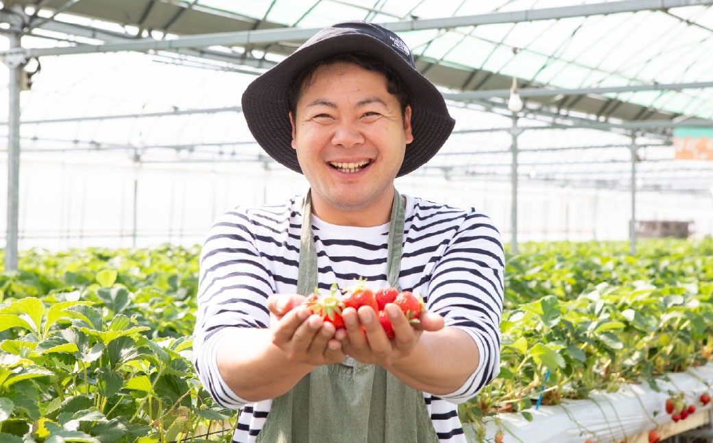 【4回定期便】よかもんいちご あまおう苺セット4パック