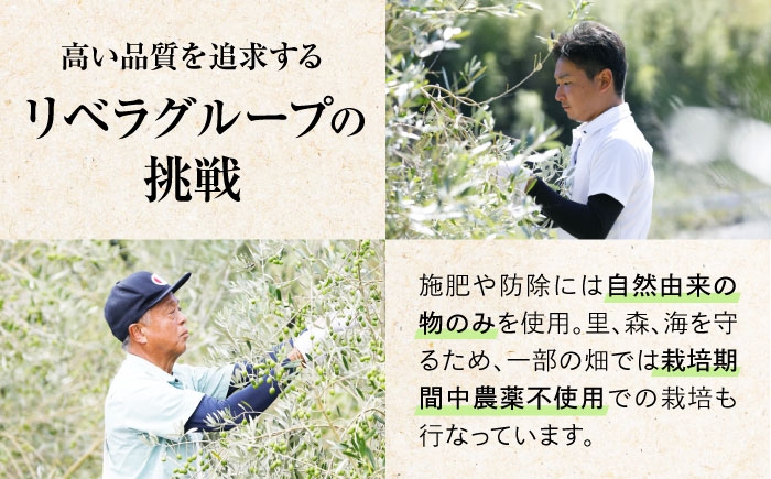 オリーブオイル エキストラバージン 油 国産 広島県産 贈答 ギフト オリーブオイル