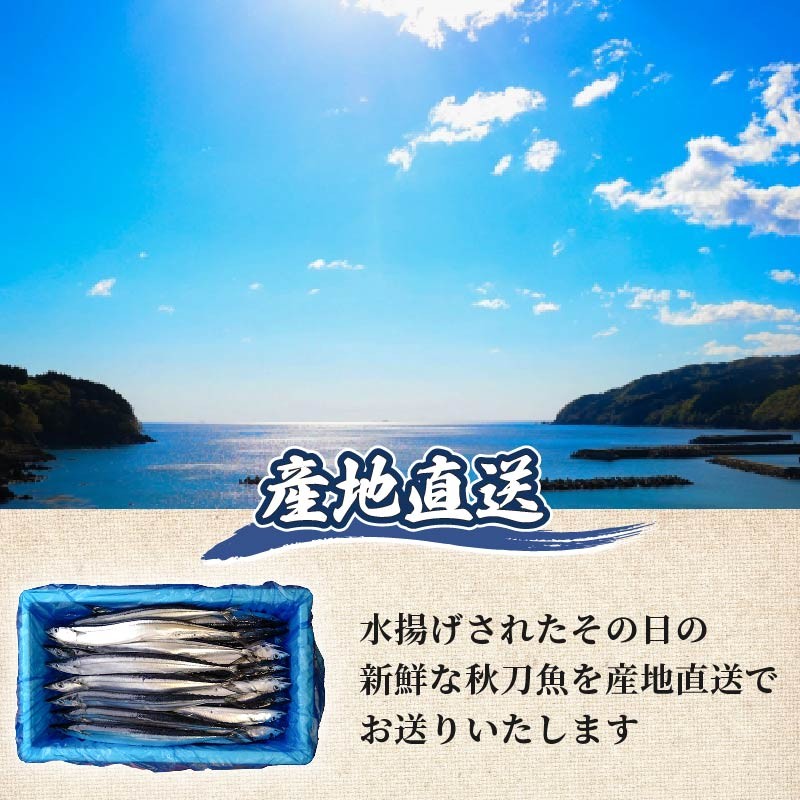 ※画像は一例です｡本数が異なる場合がございます｡予めご了承ください｡