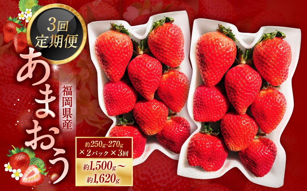 【3ヶ月定期便】あまおう2パック×3回