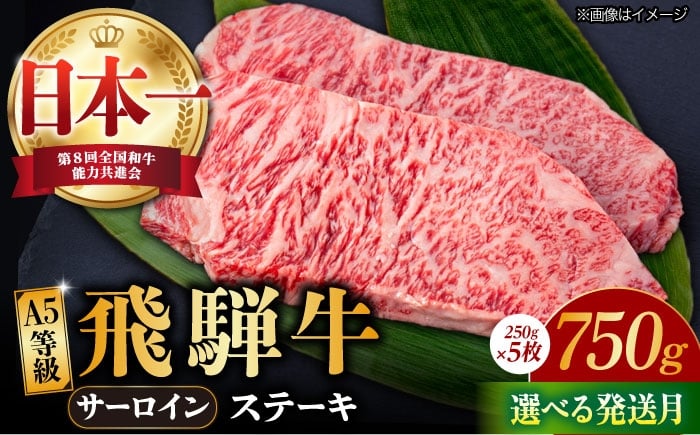 飛騨牛 A4 等級以上 サーロイン ステーキ用