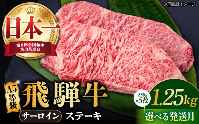 飛騨牛 A4 等級以上 サーロイン ステーキ用