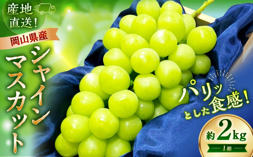 【先行予約】岡山県産シャインマスカット2kg 1箱 【2026年9月下旬-10月下旬発送予定】