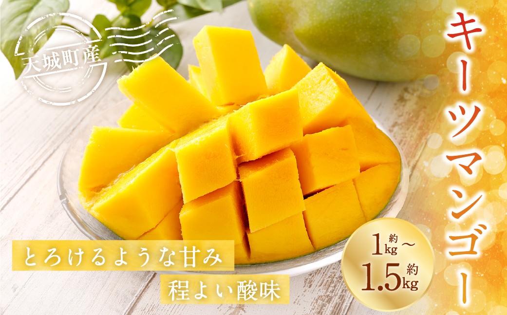 徳之島 天城町産 キーツマンゴー 1kg～1.5kg （1玉） 