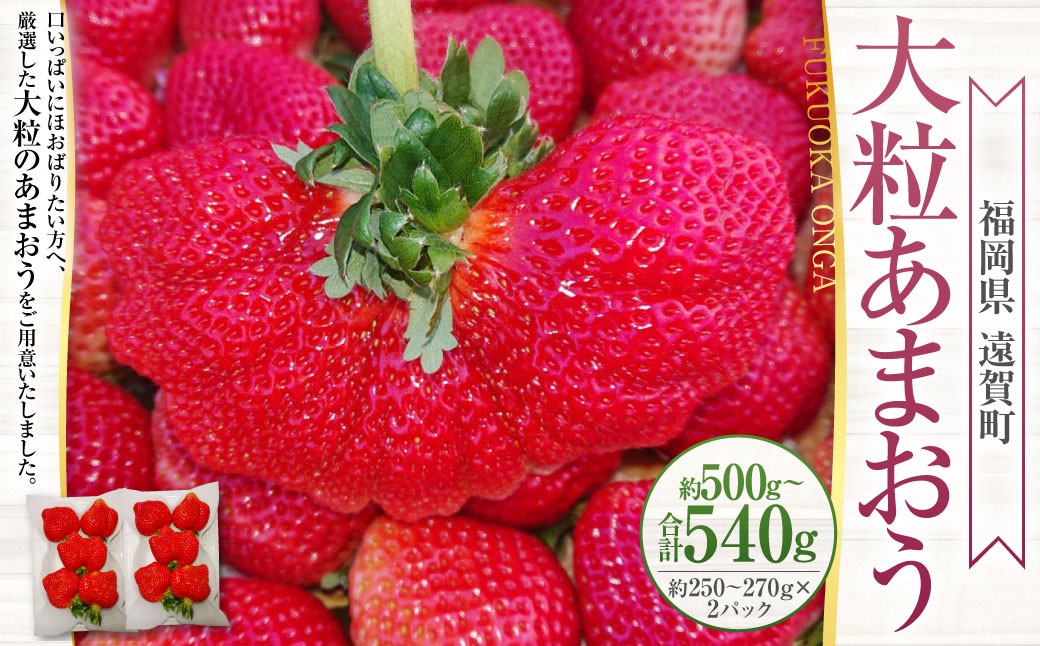 大粒あまおう 2パック