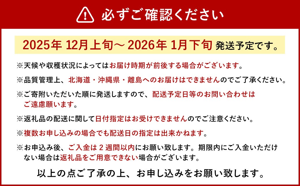 今季初採れあまおう 2パック【数量限定】