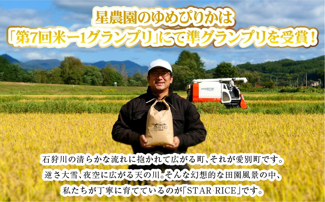 【10回定期便】ゆめぴりか(2合×5パック)×10回