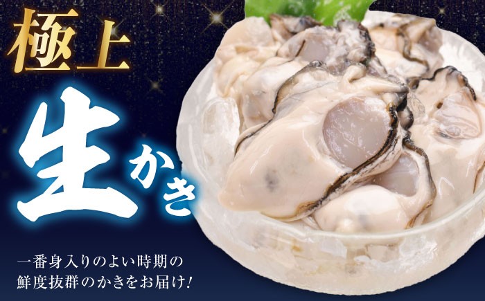 牡蠣 生食 むき身 殻付き かき カキ 生牡蠣 広島牡蠣 オイスター カキフライ 魚介類 貝類 海鮮 広島県産 国産 産地直送