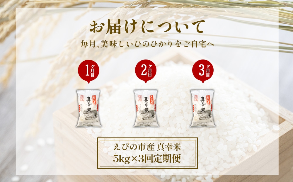 【回数/発送月/容量 選べる】えびの産 ヒノヒカリ 真幸米