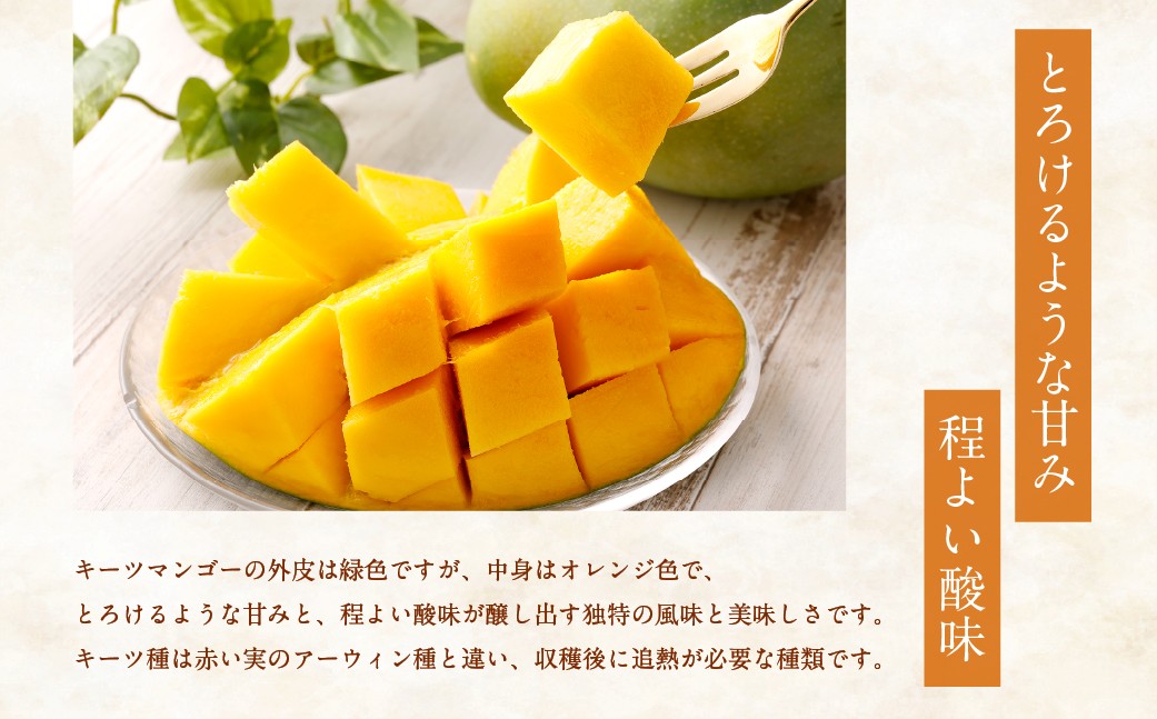 徳之島 天城町産 キーツマンゴー 1kg～1.5kg （1玉） 