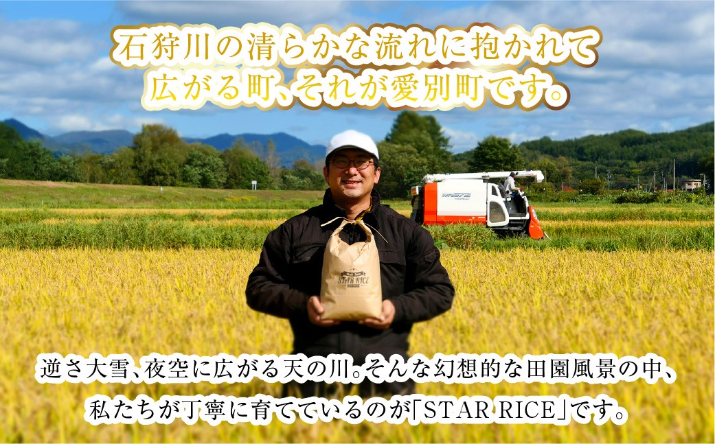 【4回定期便】ななつぼし(2合×5パック)×4回