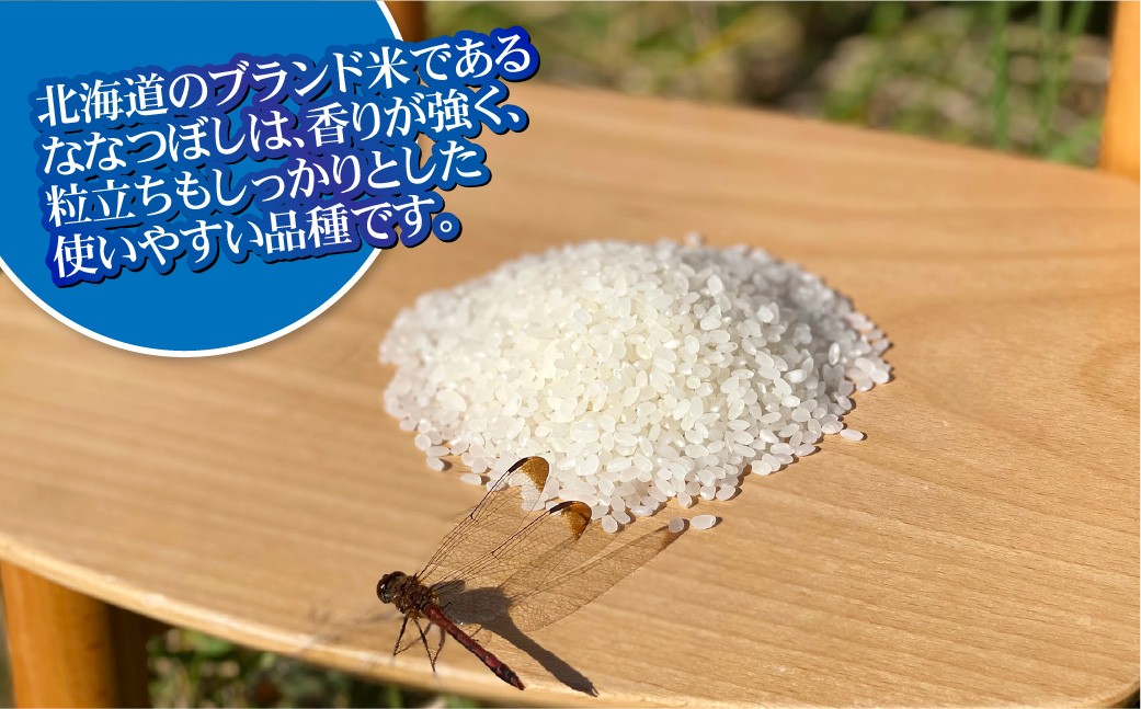 【12回定期便】 ななつぼし(2合×5パック)×12回