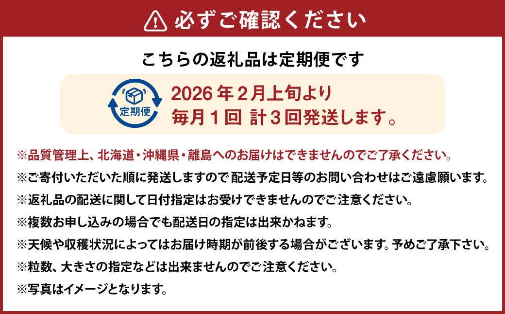 【3ヶ月定期便】あまおう2パック×3回