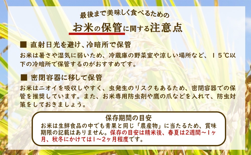 【回数/発送月/容量 選べる】えびの産 ヒノヒカリ 真幸米