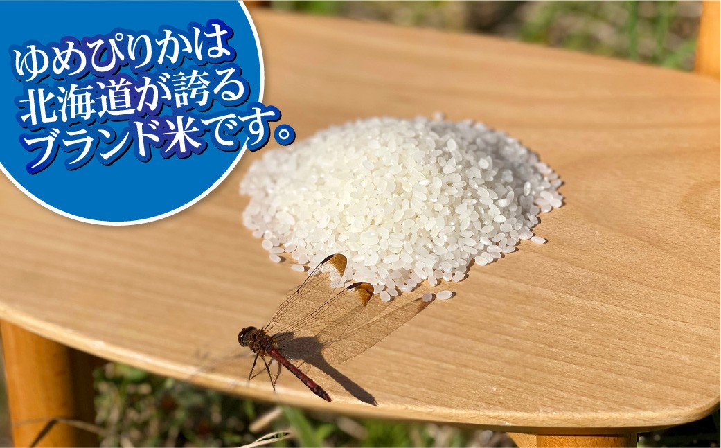 【9回定期便】ゆめぴりか(2合×5パック)×9回