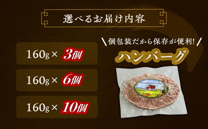 肉 ハンバーグ 牛肉 赤身 和牛 ギフト 北海道産 足寄町 北海道 