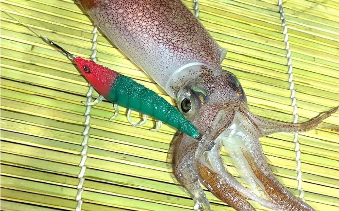 ルアー 釣具 釣り具 ソルトルアー 海釣り セット 詰め合せ 人気 おすすめ