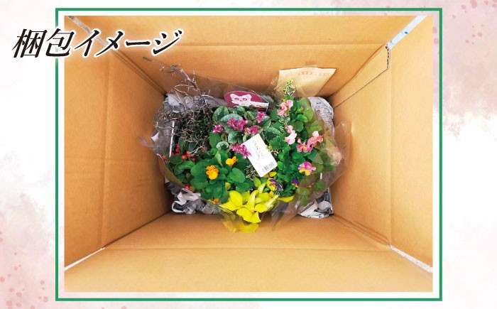 梱包イメージ画像は「寄せ植え（雅）」の一例です（お花の種類や本数、鉢の色や形状は異なります）