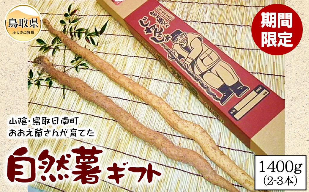 自然薯ギフト【期間限定】