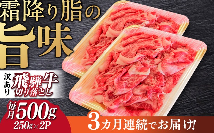 飛騨牛 切り落とし 牛肉 飛騨牛 切り落とし きりおとし 切りおとし 肉 和牛