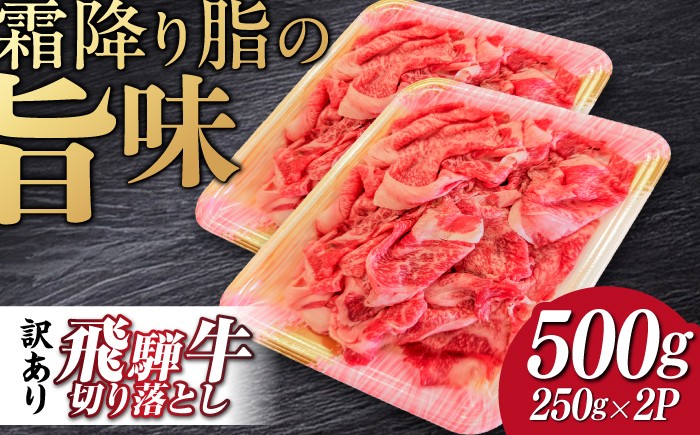 飛騨牛 切り落とし 牛肉 飛騨牛 切り落とし きりおとし 切りおとし 肉 和牛