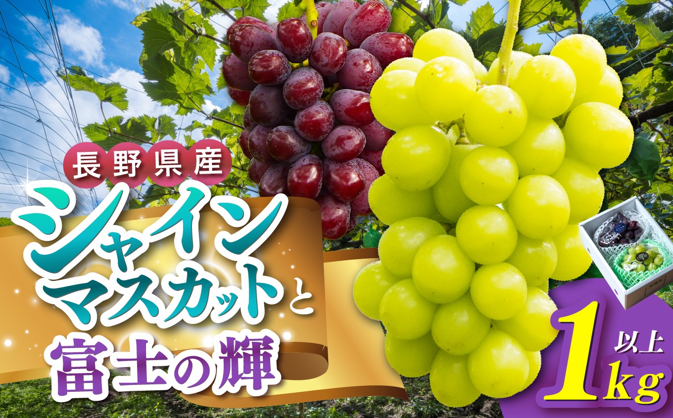 清らかな空気、綺麗な水、豊かな土壌で育まれた元気いっぱいのぶどう