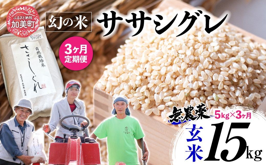  【 3回 定期便 】ササシグレ 玄米 5kg × 3回 （ 合計 15kg ）