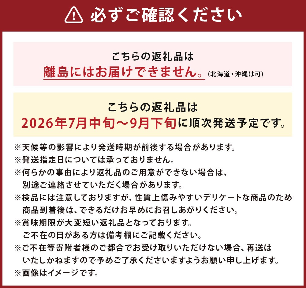 岩手にのへきゅうり【厳選品・Ａ品】3kg