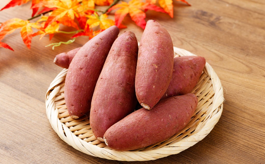 『2024‐2025さつまいも博シルクスイート部門グランプリ受賞』恋シルク 約5kg