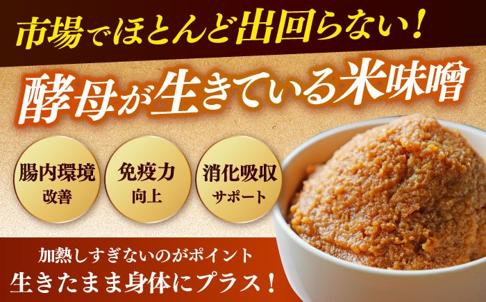 味噌 みそ ミソ 4kg 米味噌 常温 冷蔵 みそ汁 味噌汁 手作り 手作り味噌 国産米