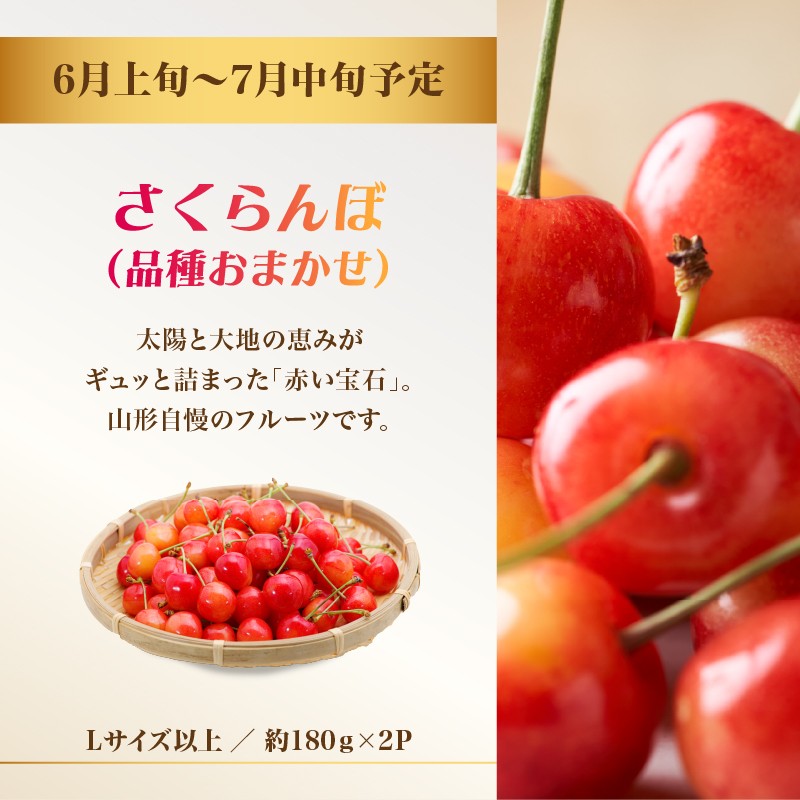 おいしい！ジューシー！山形フルーツバラエティ定期便【定期便全5回】 【060-T11】