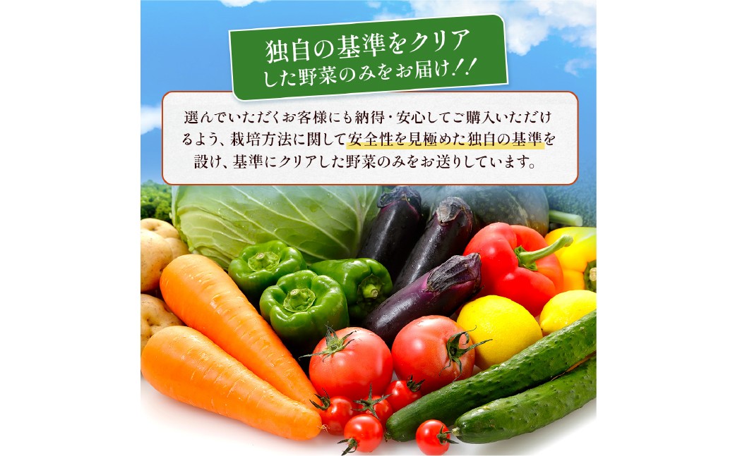 熊本県 10品目 野菜 セット 6ヶ月 定期便