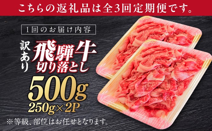 飛騨牛 切り落とし 牛肉 飛騨牛 切り落とし きりおとし 切りおとし 肉 和牛