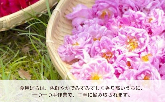 一口で感じる至福の贅沢 バラアイス 福山薔薇人 バラード