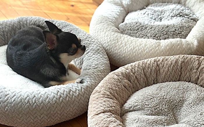 うちのこ ドーナツベッド50 