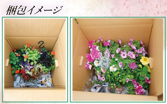 梱包イメージ画像は「ハンギングバスケット（雅）」の一例です（お花の種類や本数、鉢の色や形状は異なります）