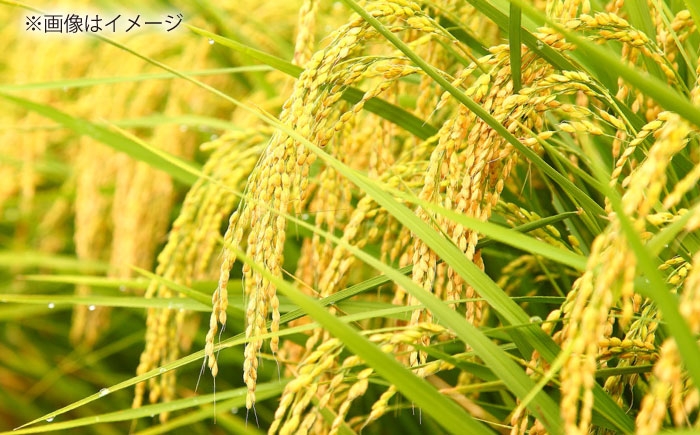 松江の老舗米穀店ごはんソムリエが厳選！