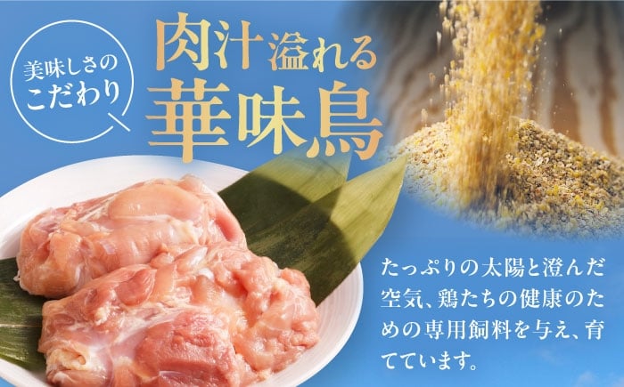 カレー パウチ インスタント食品 カレーライス 調理済みカレー レトルトカレー インスタントカレー セット レトルト食品