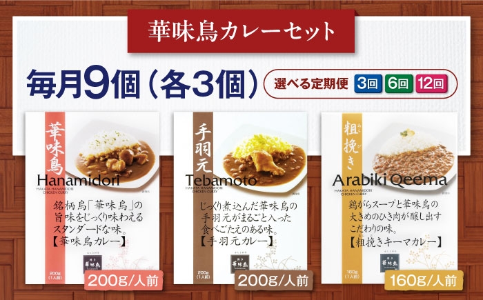 カレー パウチ インスタント食品 カレーライス 調理済みカレー レトルトカレー インスタントカレー セット レトルト食品