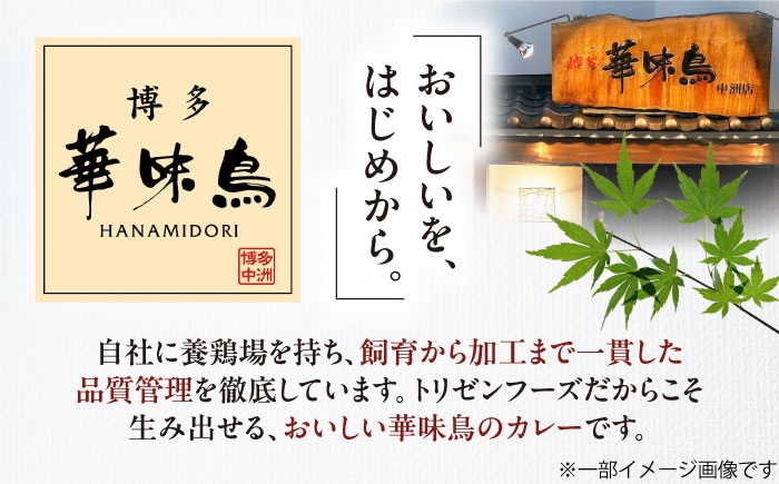 カレー パウチ インスタント食品 カレーライス 調理済みカレー レトルトカレー インスタントカレー セット レトルト食品