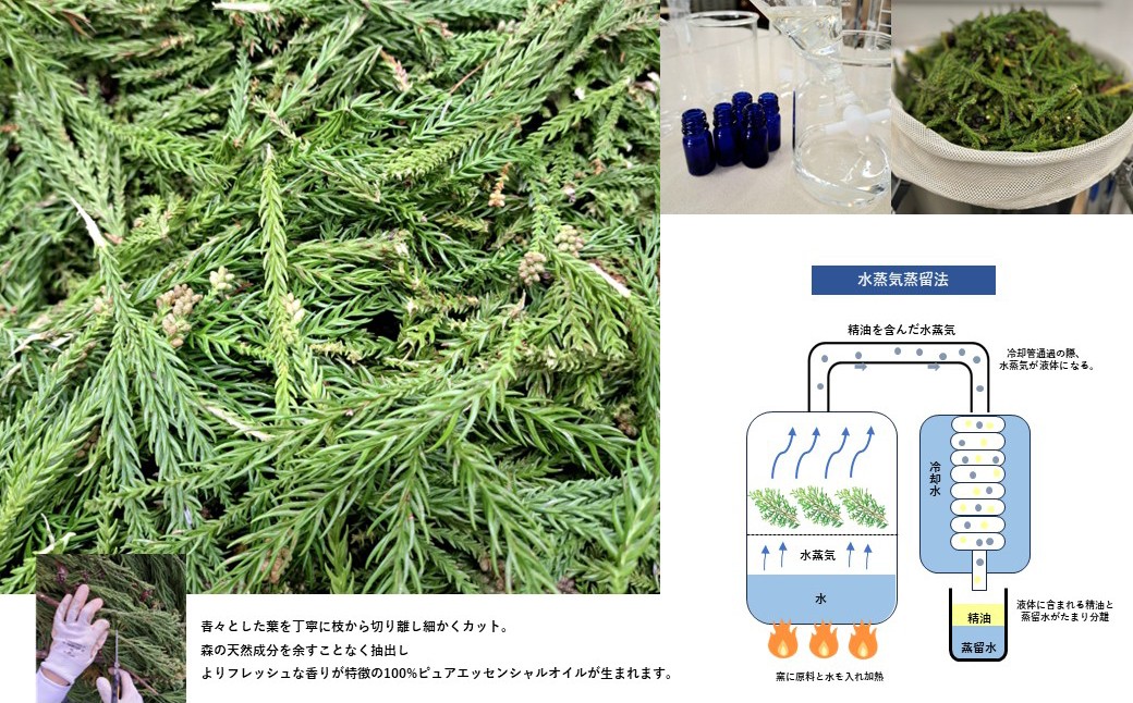 B25-015 Aroma.Stardrop　ひのきエッセンシャルオイル・アロマミスト・ディフューザー　セット