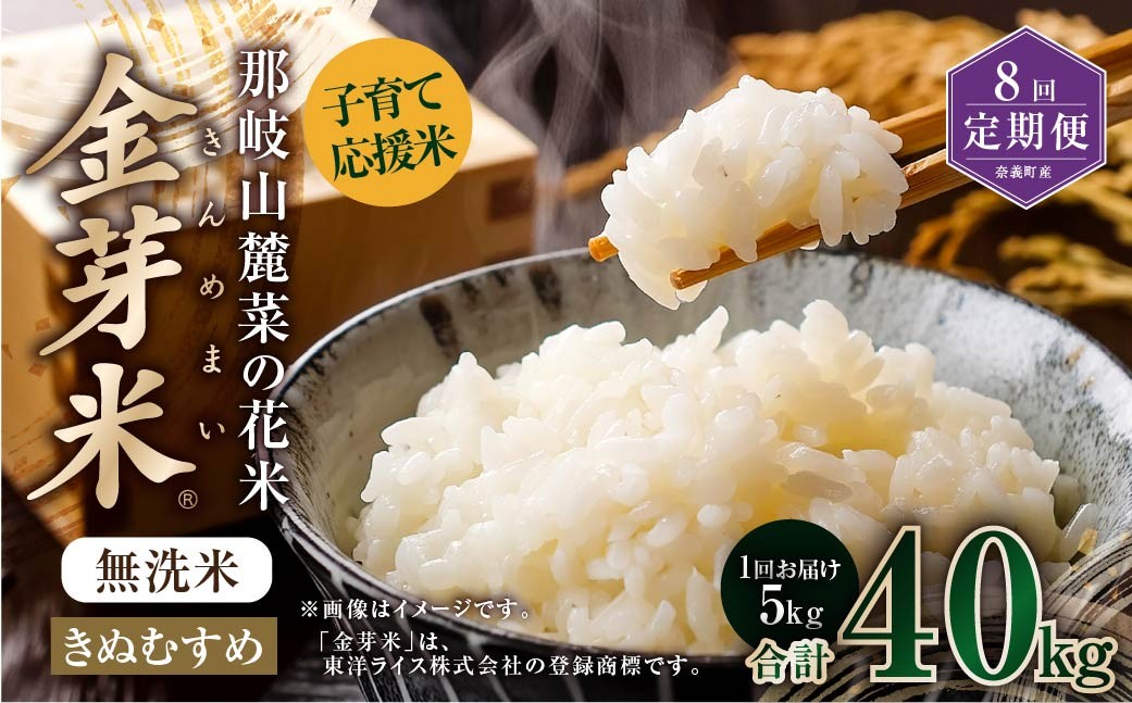 【8回定期便】子育て応援米【令和７年産】那岐山麓菜の花米 金芽米 無洗米 きぬむすめ5kg