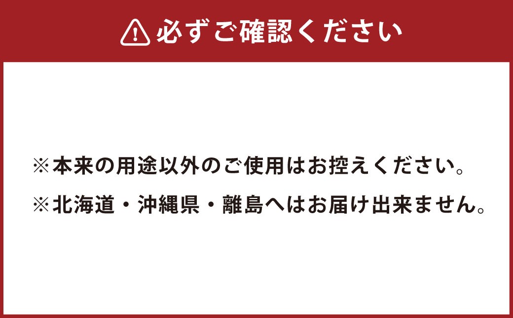 パンチレスファイル A4 12色 アソート （コピー用紙160枚収容） 各色1冊 計12冊