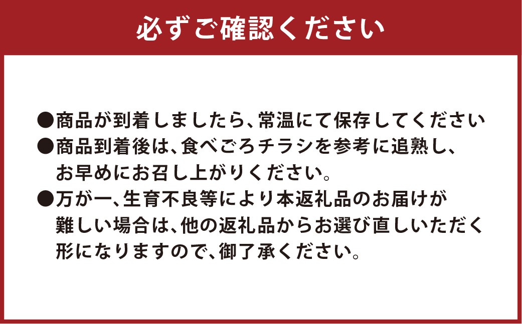 【2026年5月上旬発送開始】赤玉レノンスター 1玉・アンデスメロン1玉
