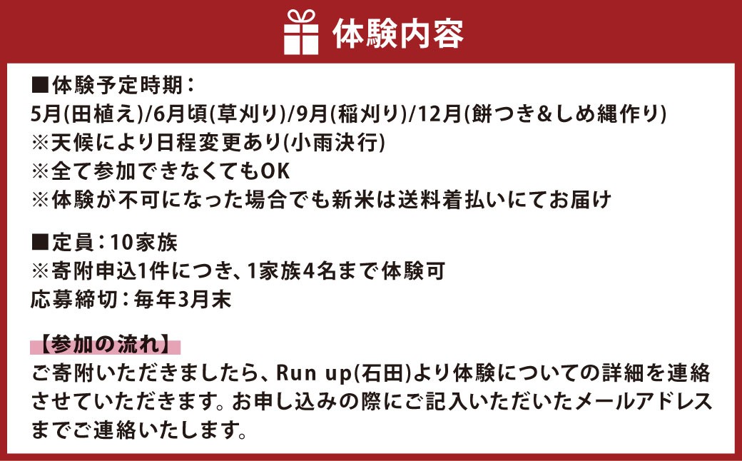 ここでしか味わえない！ 米づくりリトリート体験【栽培期間中は農薬・肥料不使用】 お米付き 全4回田植えから稲刈り、餅つきまで