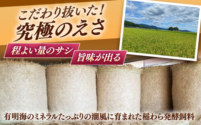 【口の中でとろける！】焼肉用黒毛和牛