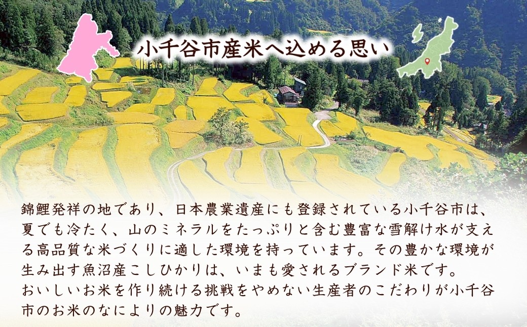 減農薬栽培に加えて、特許農法での「安心・安全なコメ作り」に取り組んでいます。