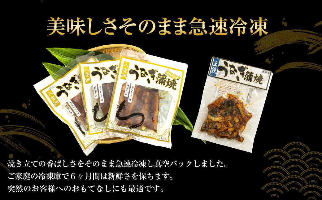 王鉄興業　木曽三川うなぎ3人前＋きざみ蒲焼